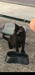 TITOU
