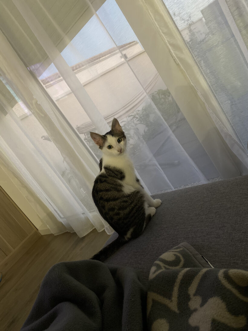 ACHILLE est réservé