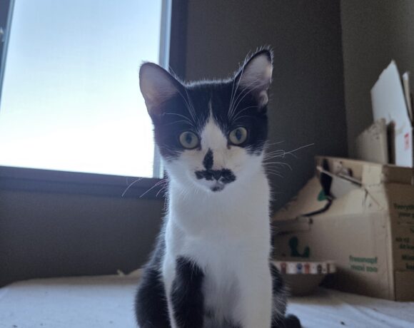 ALYA est réservée ALYA est réservée