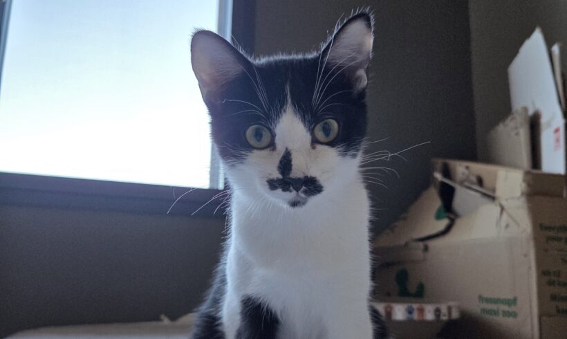 ALYA est réservée ALYA est réservée