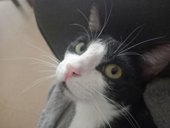 ATHOS