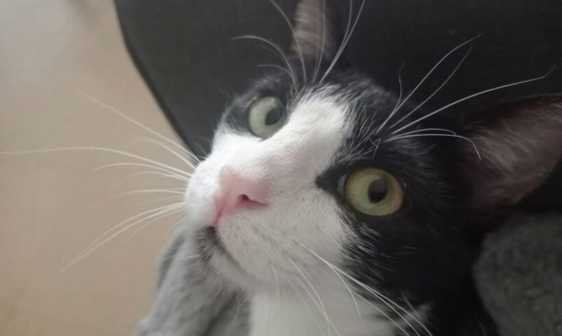 ATHOS