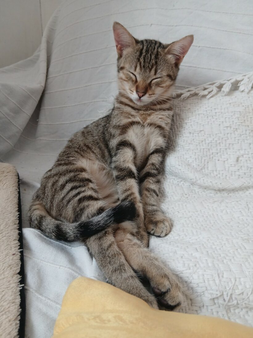 AJAX