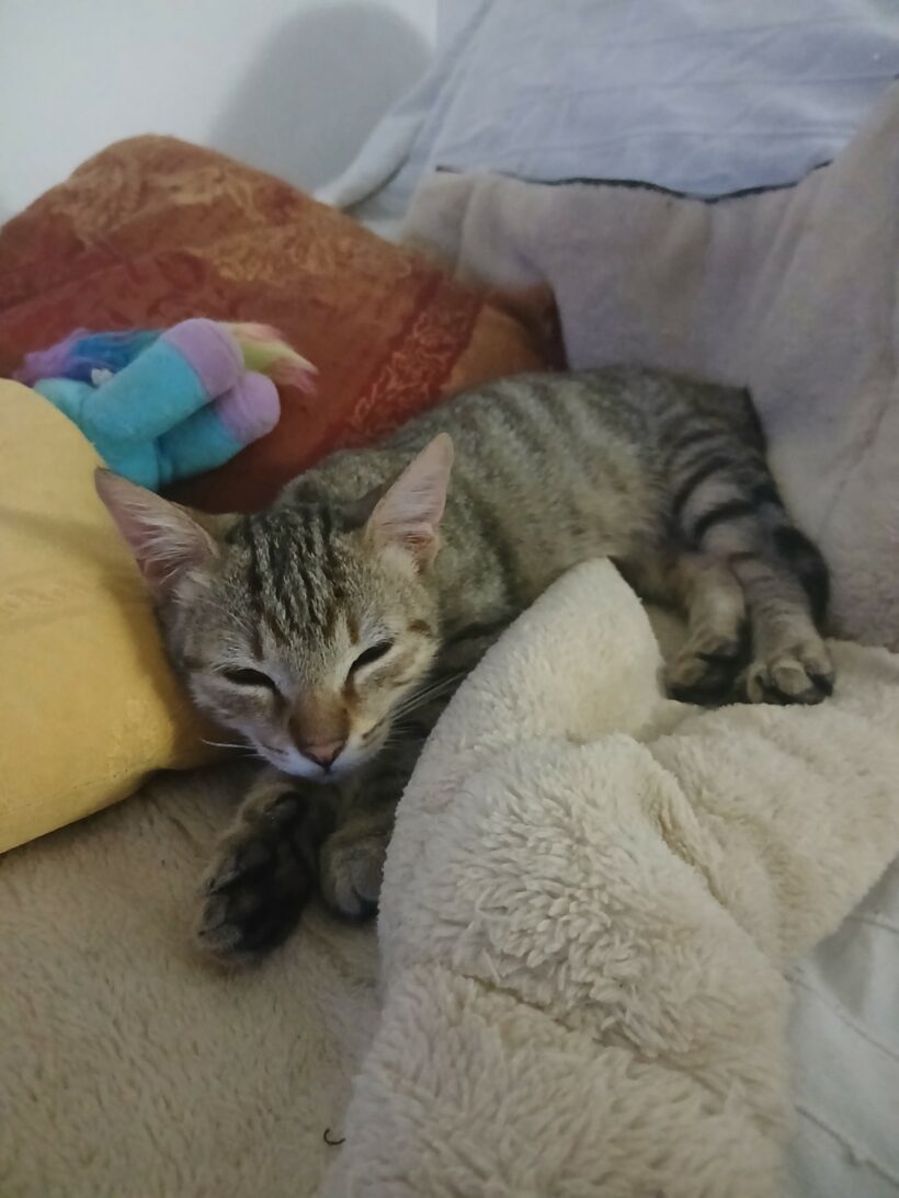AJAX
