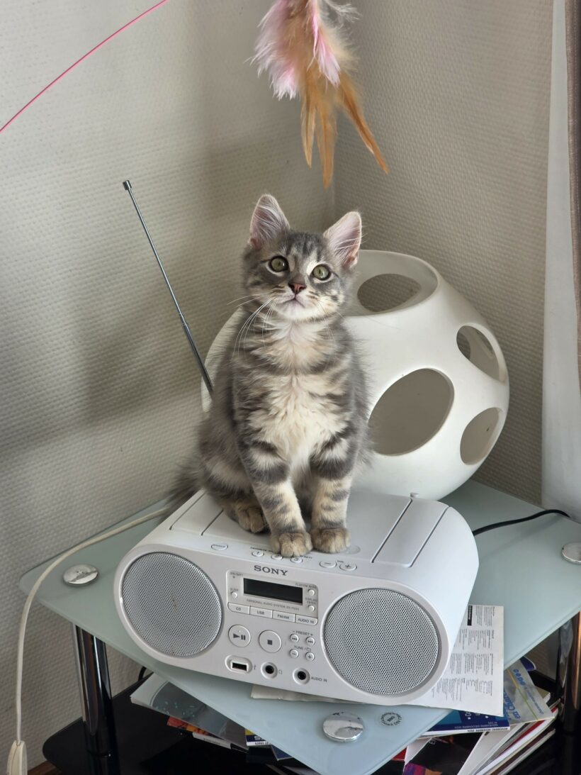 ALVIN et ASTRO