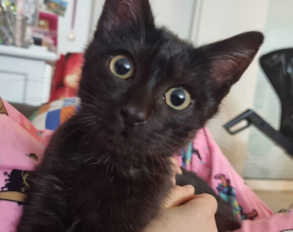 ZAZOU est réservé ZAZOU est réservé