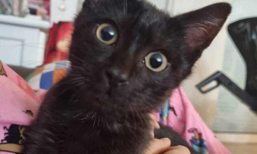 ZAZOU est réservé ZAZOU est réservé