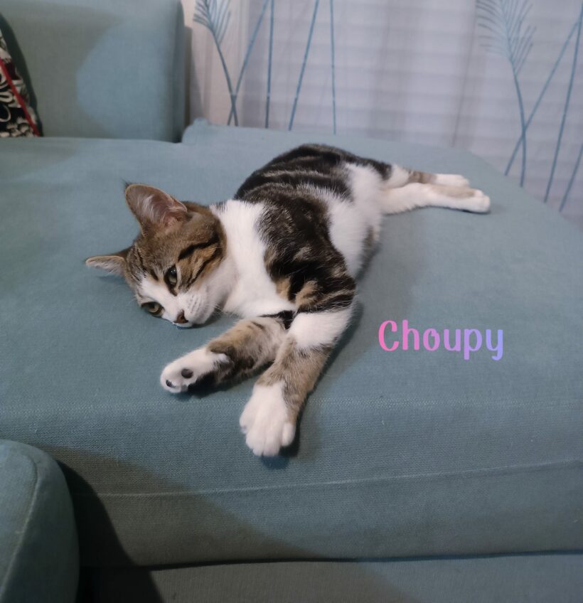 CHOUPY