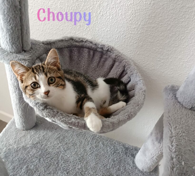 CHOUPY