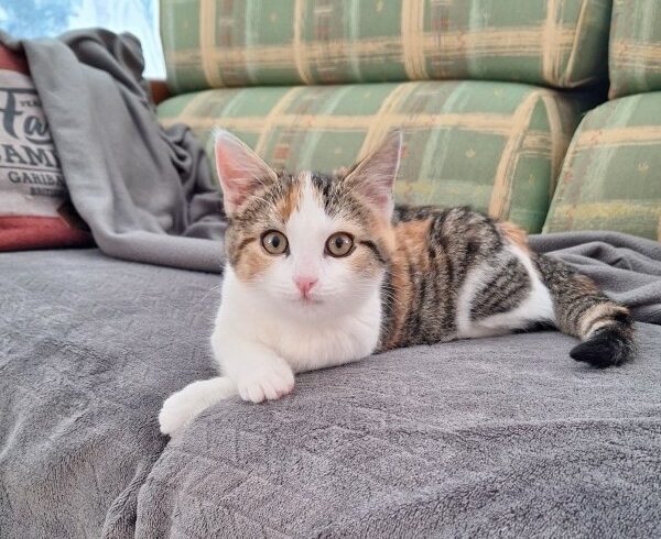 MOKA est réservée MOKA est réservée