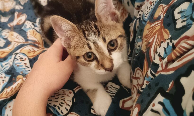 SUNNY est réservé SUNNY est réservé