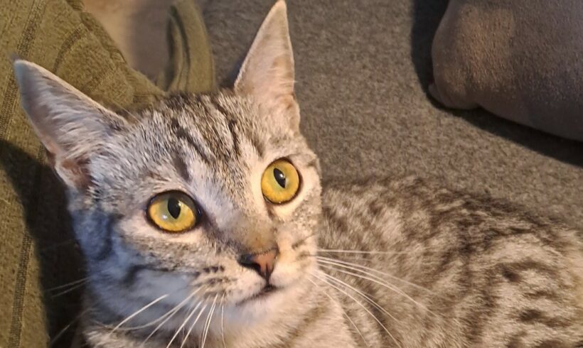 MALDIVES est réservée