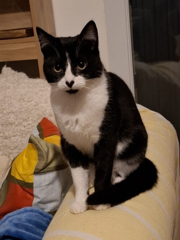 ALIE est réservée ALIE est réservée