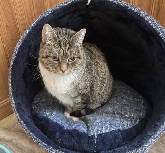 MIRABELLE est réservée MIRABELLE est réservée