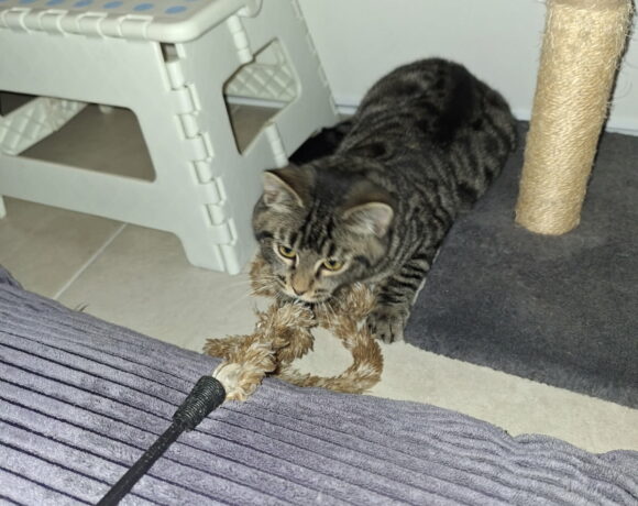 MOKA est réservé MOKA est réservé