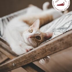 Des nouvelles d&rsquo;Alba