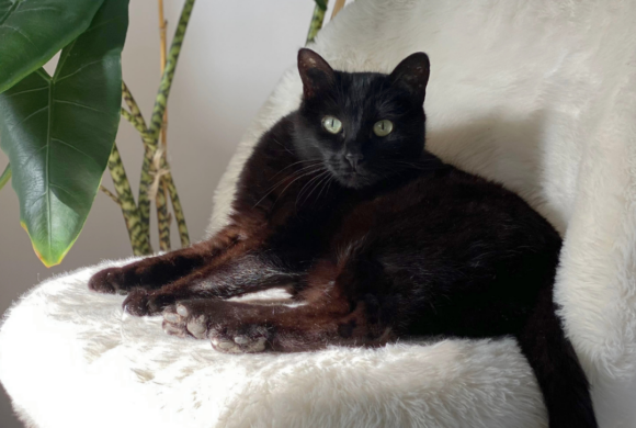 Des nouvelles de Moon