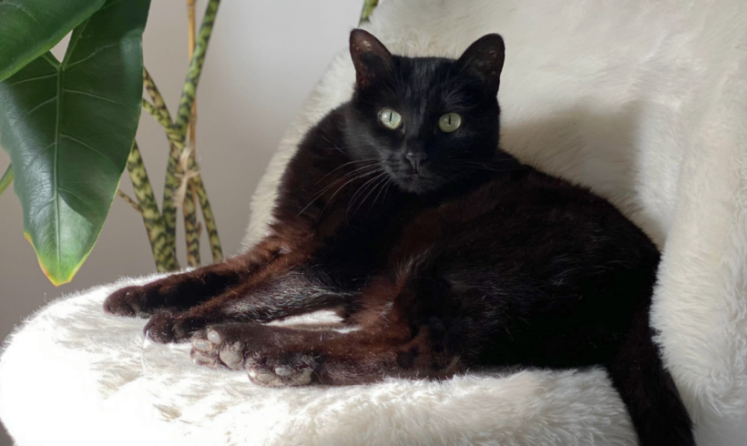 Des nouvelles de Moon