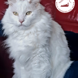 Des nouvelles d&rsquo;Elfe