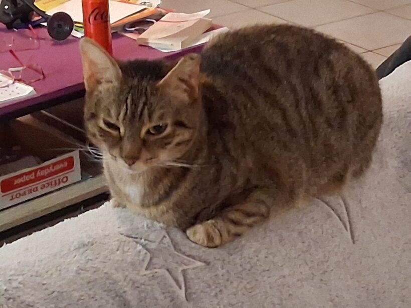 CREVETTE et TITI CREVETTE et TITI