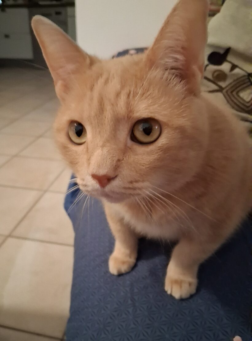 CREVETTE et TITI CREVETTE et TITI