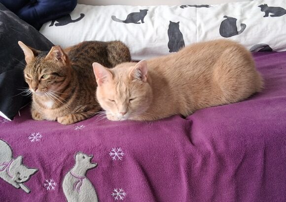 CREVETTE et TITI CREVETTE et TITI