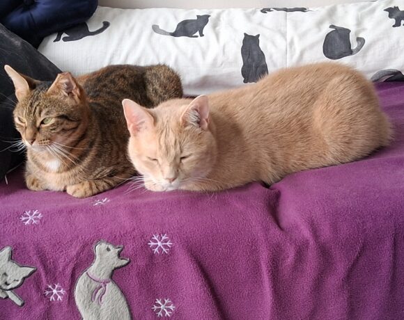 CREVETTE et TITI CREVETTE et TITI