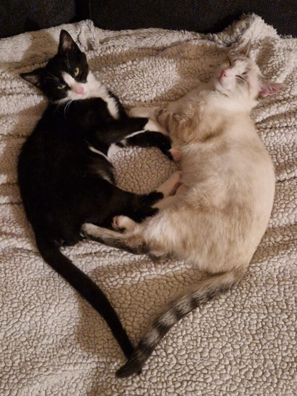 AÏKO et NOVA AÏKO et NOVA