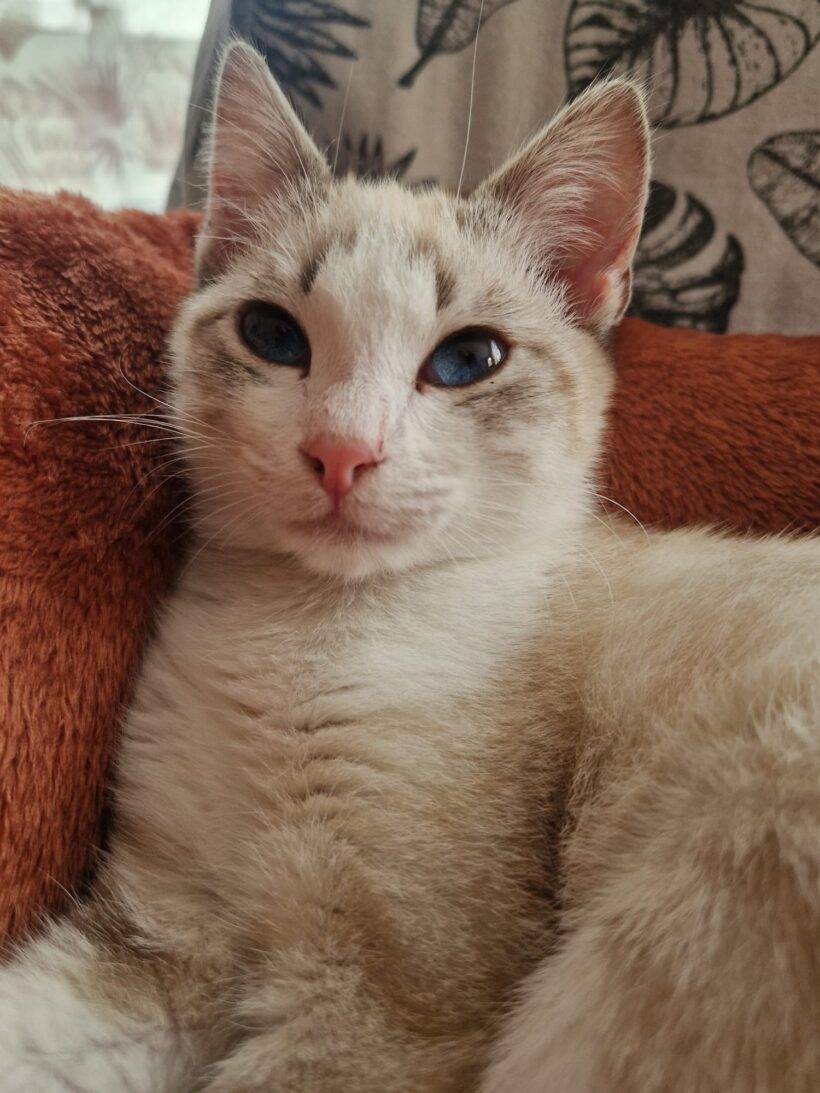 AÏKO et NOVA AÏKO et NOVA