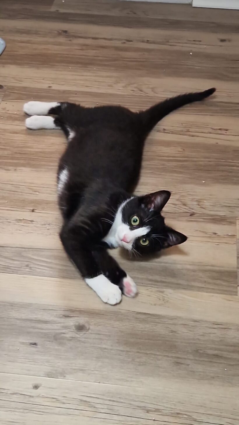 AÏKO et NOVA AÏKO et NOVA