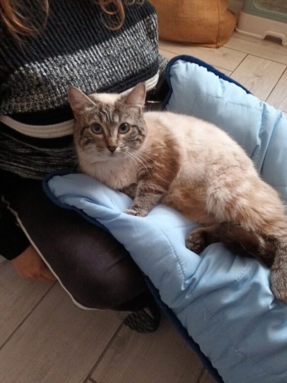 MILES est réservé MILES est réservé