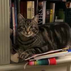 Des nouvelles de Gaspard