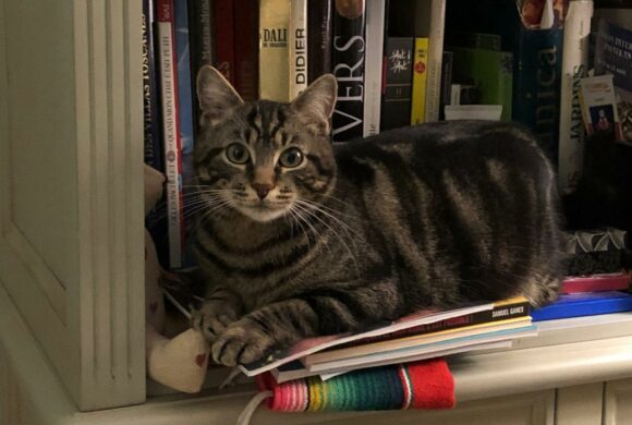 Des nouvelles de Gaspard