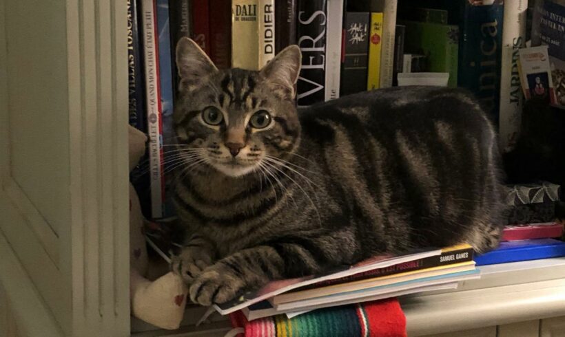 Des nouvelles de Gaspard