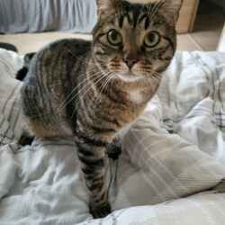 UKHIA dit Tire-Bouchon