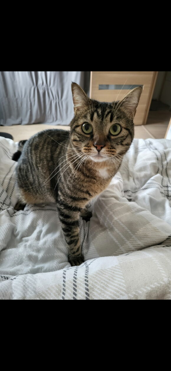 UKHIA dit Tire-Bouchon