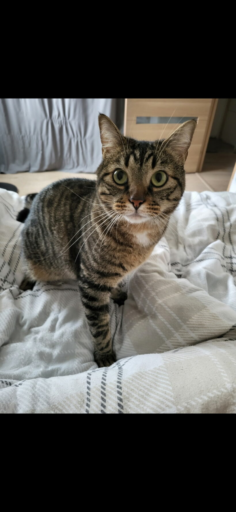 UKHIA dit Tire-Bouchon