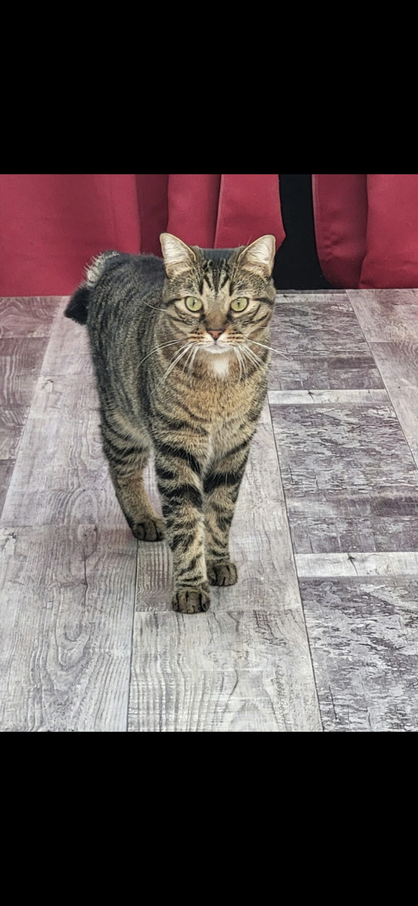 UKHIA dit Tire-Bouchon