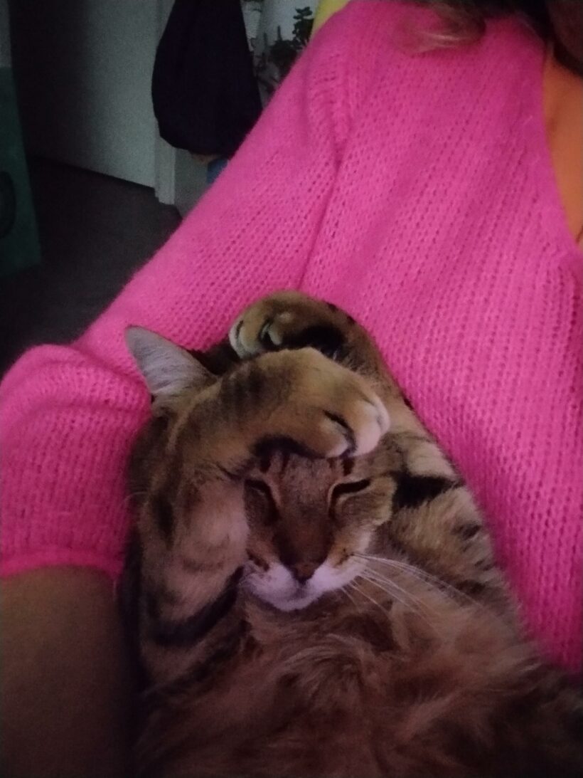 POMPONNETTE POMPONNETTE