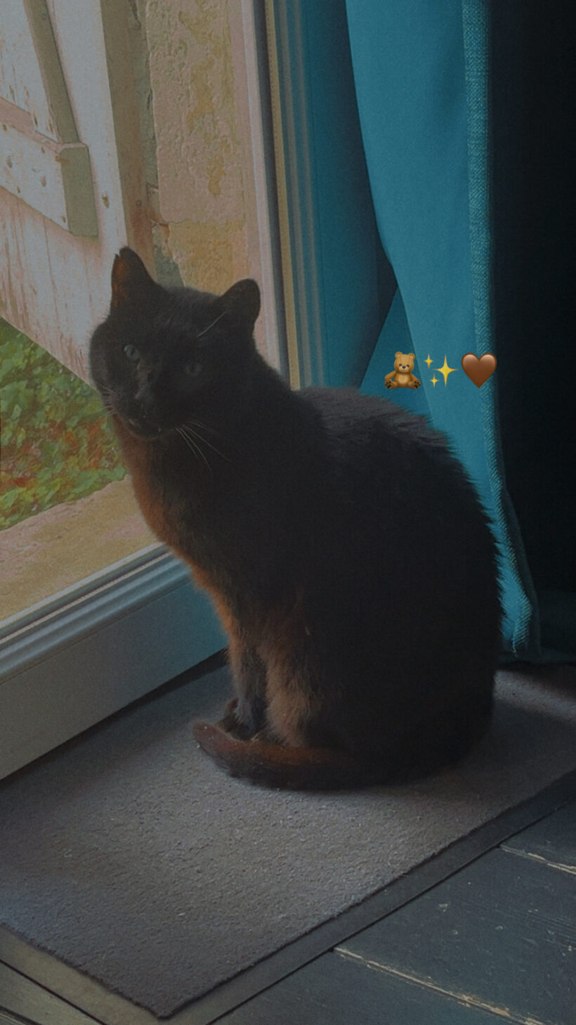 BLACK ET ROUDOUDOU
