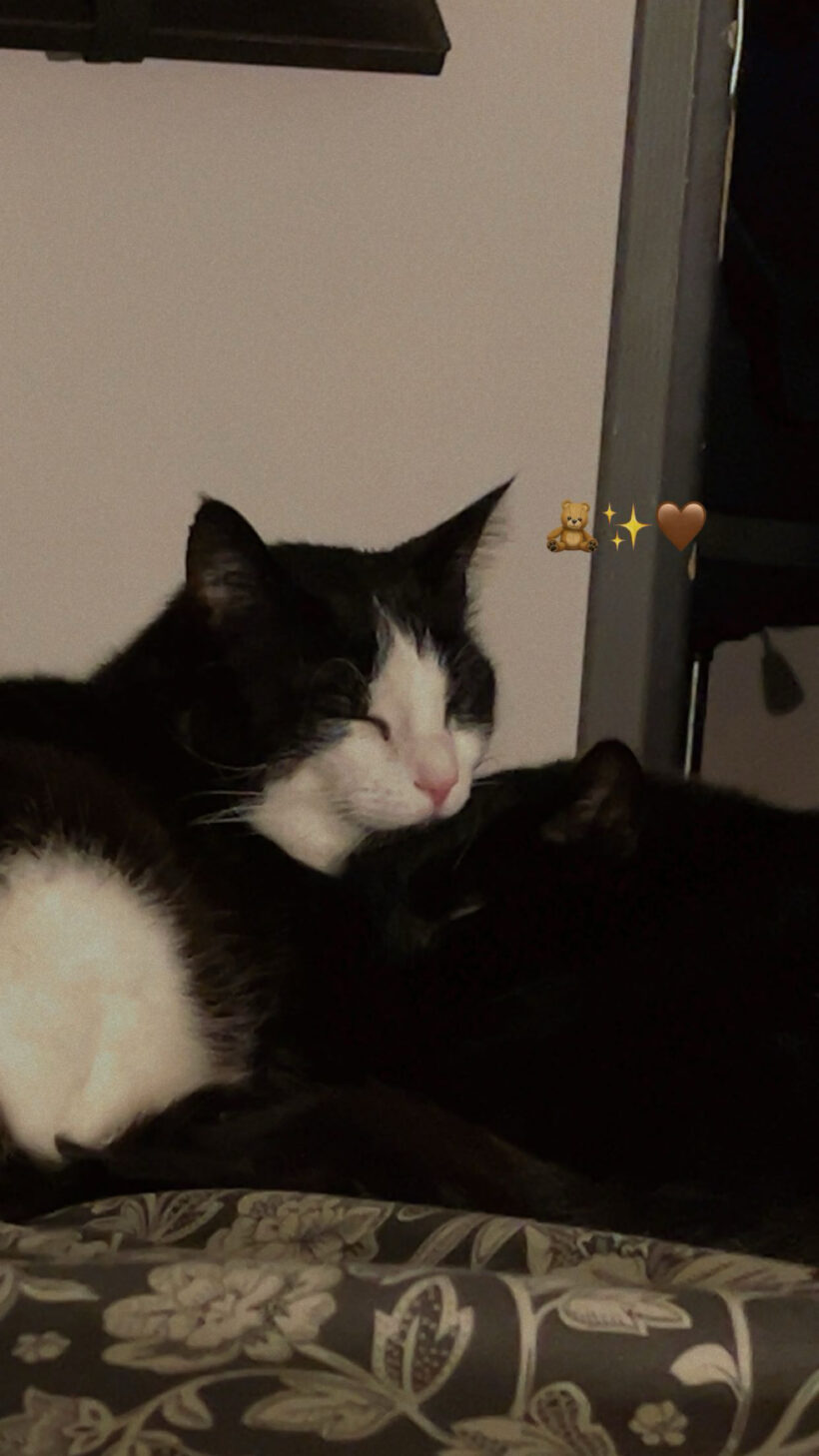 BLACK ET ROUDOUDOU