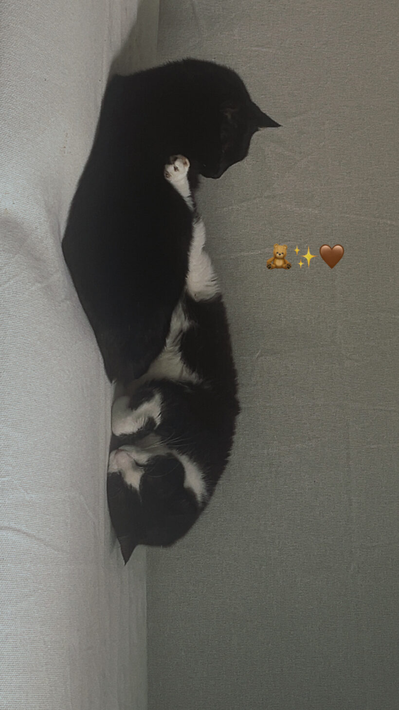 BLACK ET ROUDOUDOU