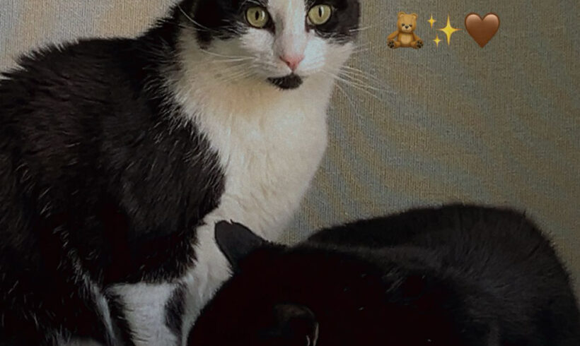 BLACK ET ROUDOUDOU