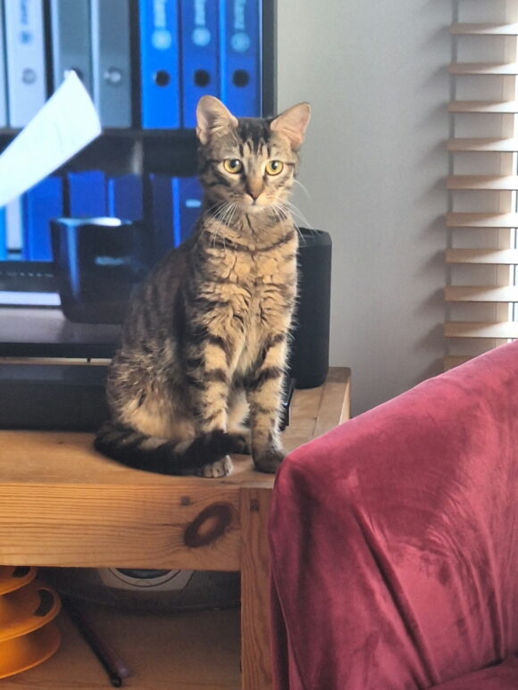BERLIOZ