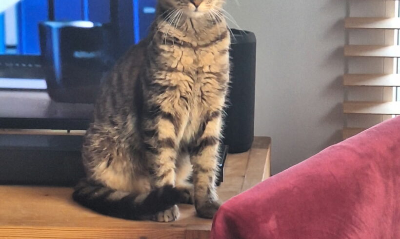 BERLIOZ