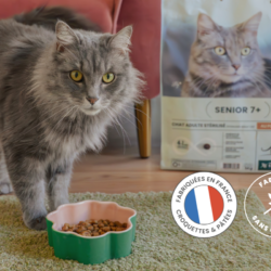 Planning Chat s&rsquo;associe à la marque Ultra Premium Direct !