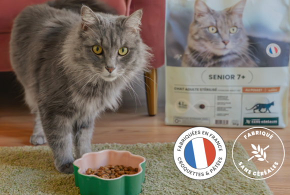 Planning Chat s&rsquo;associe à la marque Ultra Premium Direct !