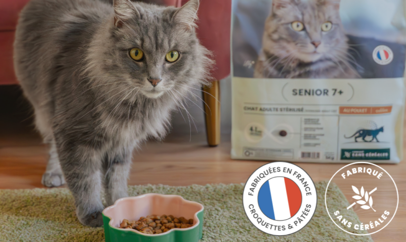Planning Chat s&rsquo;associe à la marque Ultra Premium Direct !
