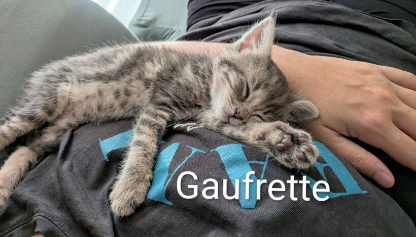GAUFRETTE GAUFRETTE