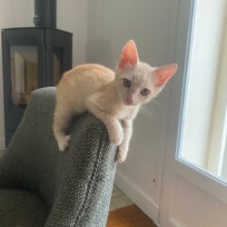ZAZOU